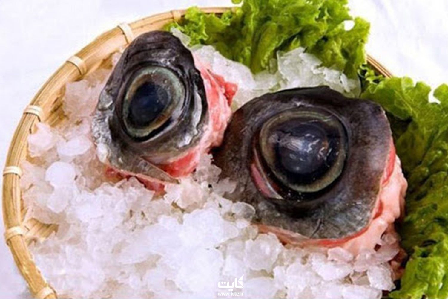چشم ماهی تُن 